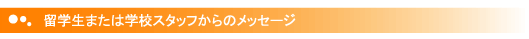 留学生または学校スタッフからのメッセージ